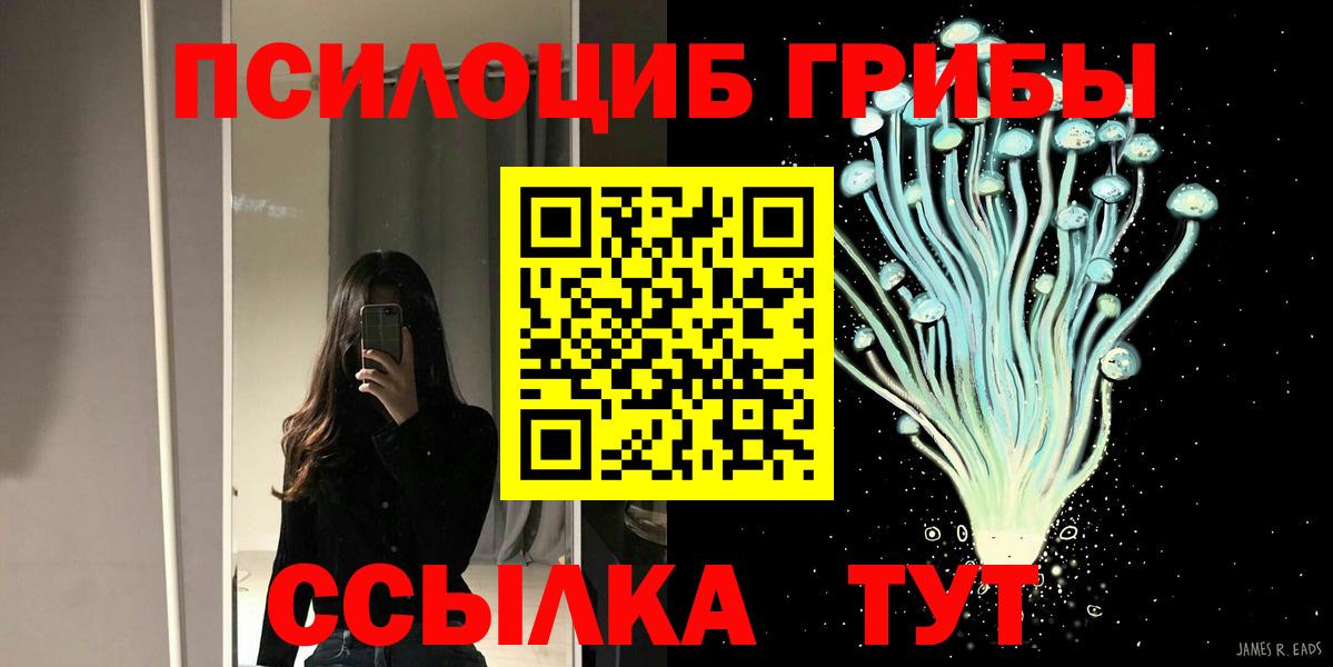 Урай  где купить наркоту  Псилоцибиновые грибы Magic Shrooms  Вход с VPN  Галлюциногенные грибы Psilocybine cubensis 